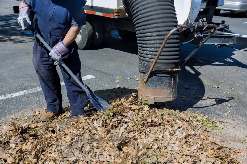 Leaf Removal Service