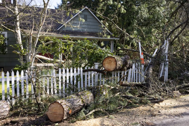 Post-Removal Site Cleanup