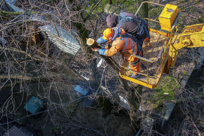 Safety in Tree Removals
