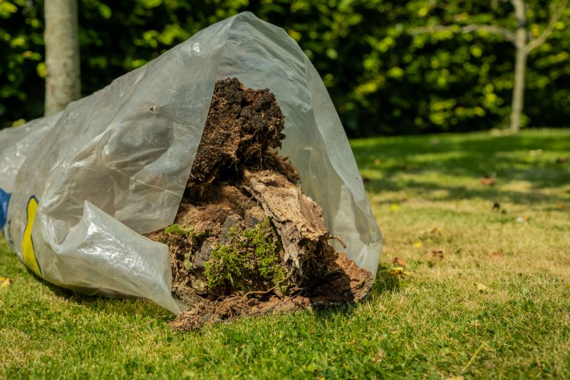 Post-Removal Landscaping
