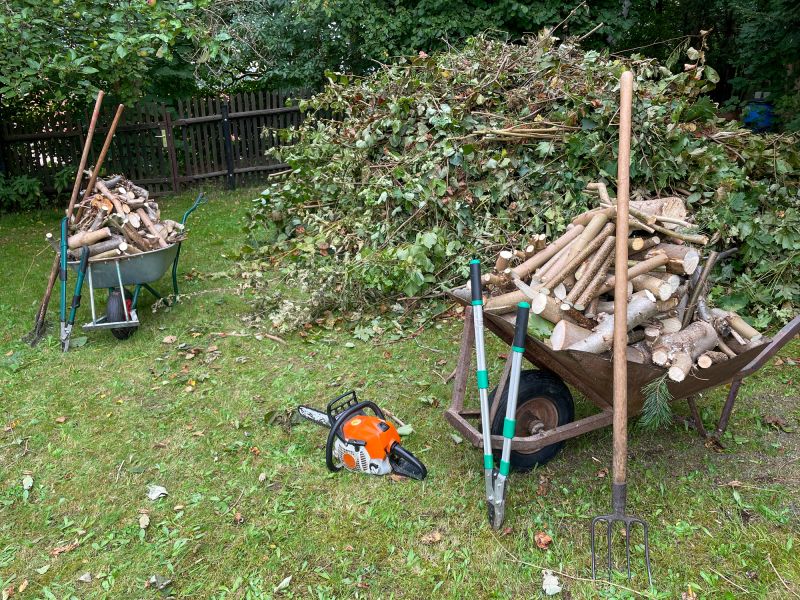 Post-Removal Cleanup