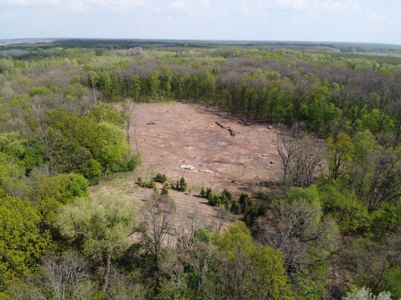 Landscaped Area Post-Removal