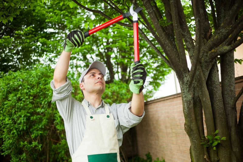 Arborist Consultation Services